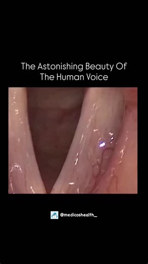 Medical & Health ⚕️ on Instagram: "The Astonishing Beauty of the Human Voice 🎶 Ever wondered why a single voice can give you goosebumps? Because the human voice isn’t just sound - it’s a living instrument. + Your vocal cords vibrate hundreds of times per second + Your lungs push air like a natural “speaker system” + Your throat, mouth, & tongue shape every note like a finely tuned instrument + Your brain adds emotion, tone, and expression Together, they create a sound that’s unique to you — no 