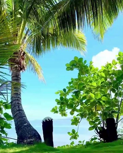 Discover Likuri Island Resort, Fiji | Escape to Paradise
