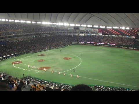 東京ドーム 1塁側2階のスカイシートCからの眺め (東京2024年4月撮影)