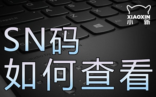 【小新攻略】SN码是什么？