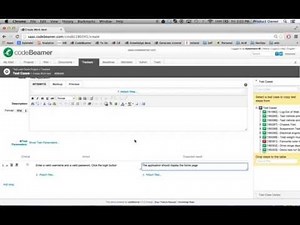 Test Cases and Test Steps