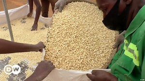 Eco-friendly crop dryers in Rwanda