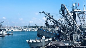 Robber pulls machete at Ventura Harbor; arrest made