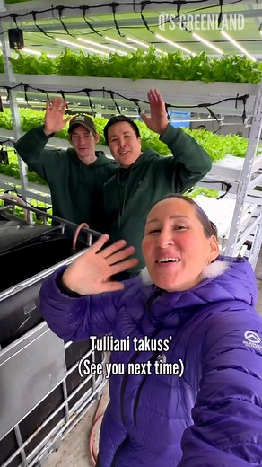 208K views · 9.6K reactions | Can you grow vegetables in Greenland? Episode 41 in 2025. Sisimiut Fresh Farm it was so amazing and giving to visit your vertical farm using smart technology. Music: Do It, Musician: @iksonmusic #qsgreenland #greenland #sisimiut #farming #technology #verticalfarming #smart #future #arctic #food #microgreen | Q’s Greenland | Facebook
