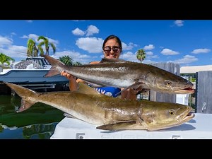 BIG COBIA Catch, Clean, and Cook! Offshore Fishing Marco Island, Florida