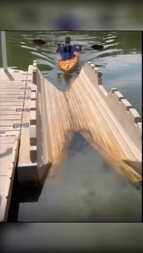 1.5M views · 2K reactions | Genial idea de este deportista #riels #kayaking #Kayak #viral #deportes #impresionante #rielsvirales | Jahdiel Jahzzel blogs | Facebook