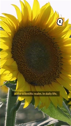 The Science of Color Explained