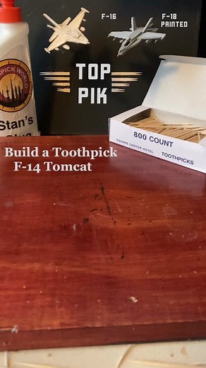 DIY Toothpick F-14 Tomcat Model Making Guide
