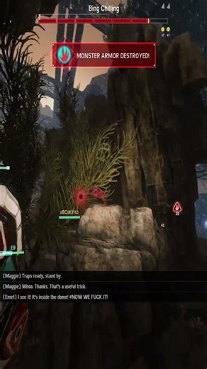 Interesting?!?!? Evolve Shorts 2025