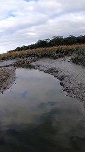 Scrapin By with my NEW Trolling motor! #reels #fishing #beaufortscfishing | Beaufort SC Fishing