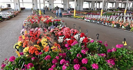 Mother’s Day blooms at Leola Produce Auction