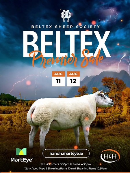 1.7K views · 49 reactions | The largest sale of the season takes...