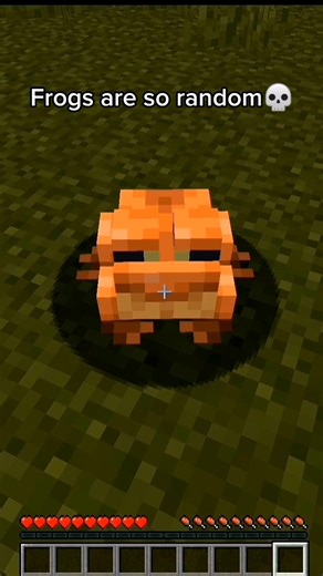 Random Frog Fishing in Minecraft Animation