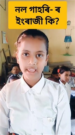নল গাহৰি- ৰ ইংৰাজী কি? Learn English vocabulary through Assamese