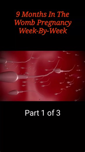 Medical Animation 3D (@wk.animation) adlı kullanıcının Illusion of Perception - VEL94EV ile oluşturduğu videoları