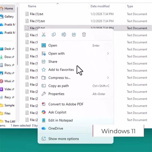 Windows 11 Basic Mouse Operations
