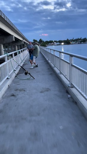 Rachael_Reich (@rachael_772)’s videos with Way Down We Go - Slowed - Ren