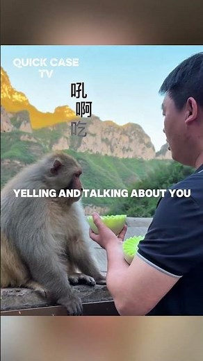 A wholesome moment from China 🇨🇳 — a local man feeding and playing with mountain monkeys