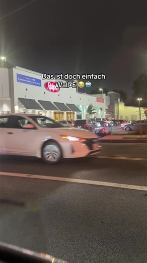 carinakoller (@carina_koller)’s videos with son original - srnaa