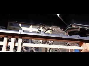 塀に使う瓦「笠木瓦江戸 いぶし銀」