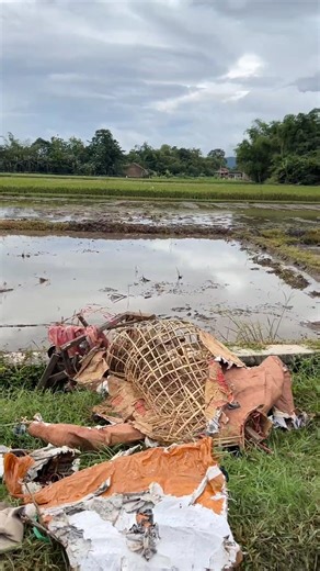 Ogoh - Ogoh Rusak Pinggir sawah Langka endase