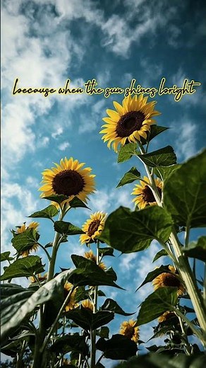 The Sunflower Theory 🌻