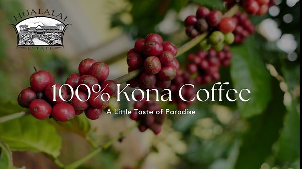 Hualalai Estate Whole Bean 100% Kona Coffee - Medium Dark Roasted Hawaiian Grown Beans - Pesticide-Free Gourmet Grade Premium Coffee (7 oz)
