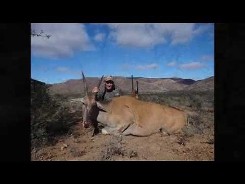 Eland Hunt with the 308 Win.