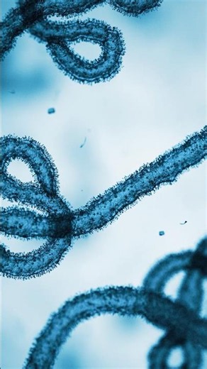 What happens when someone gets Ebola?