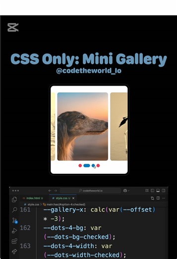 CSS Mini Gallery: An Interactive Showcase of Code