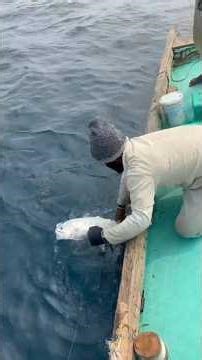 #fish #Fisherman #🌊🌫️ #beachfishing #fishing #fishingmethods #fishingtechniques #fishing #fishing