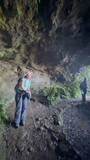 Heaven on Earth #ytshorts #waterfall #springbrook