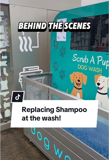 Self-Service Dog Wash: Organic Care for Your Pup