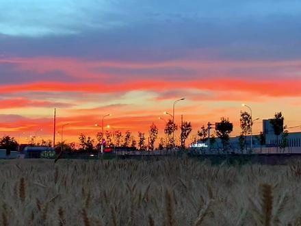 来自大自然的杰作🌤