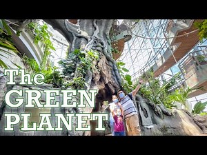 THE GREEN PLANET DUBAI Rainforest Exploration