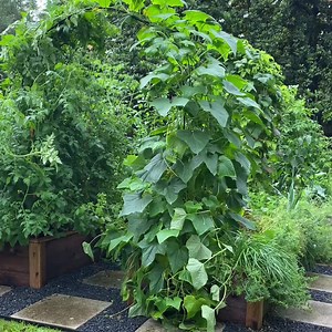 1.6K views · 477 reactions | Take a break from the news and step into...