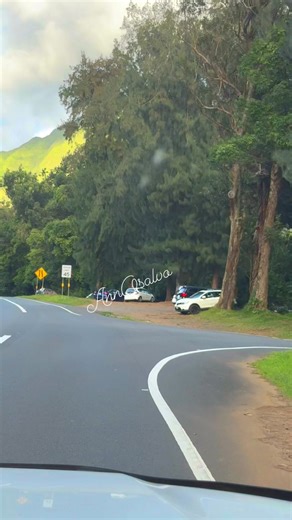 An adventure on Oahu's historic Old Pali Road! 🌳 #paliroad #oahu #hawaii #tourism #islandlife | Ann Osalvo
