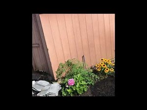 Dodge Ram Side Mirror Light (Puddle Light) Installation - proper way