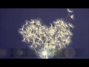 You Raise Me Up Celtic Woman ケルティックウーマン（日本語訳）ENG Lyrics