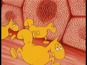 Érase una vez... La vida. 20- Los músculos