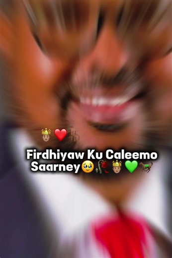 Explore Khatum State and Dhulbahante Culture