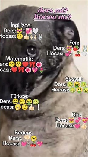 dersi mi hocası mı #challenge #challenge #midzy