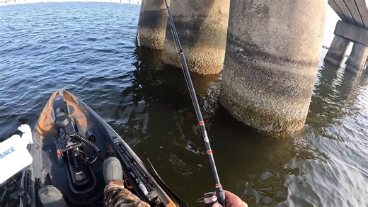 76K views · 474 reactions | AMAZING Underwater Footage of SALTWATER Fish Eating LIVE WORMS!! | Southern Salt Fishing | Facebook