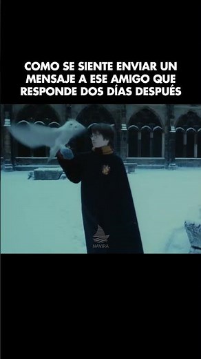 Harry Potter y la Piedra Filosofal (2001)🎬