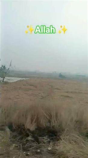 Allah ne Jo chij banai hai ☝️🕋#islamicvideo #shortvideo #youtube