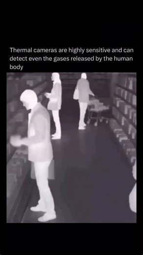 technology.ieo on Instagram: "Thermal cameras operate using highly advanced heat-sensing technology, allowing them to detect even the most subtle differences in temperature. Their exceptional sensitivity enables them to capture detailed thermal patterns emitted by the human body, going beyond visible heat to identify faint thermal signatures that are otherwise undetectable to the naked eye. Because of this precision, thermal cameras can even register the gases naturally released by the human bod
