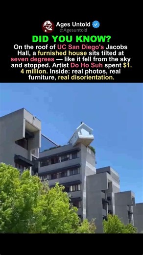 THE HOUSE THAT LANDED