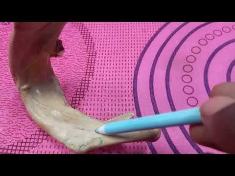 Mandible full anatomy