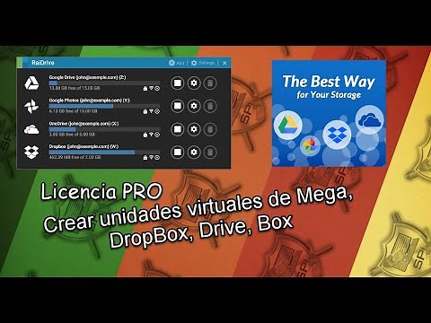 Licencia RaiDrive Profesional