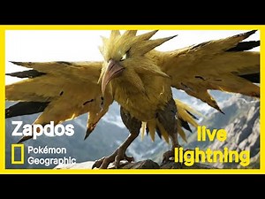 Real Life Pokémon - NatGeo: Zapdos | The Living Storm Titan